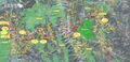 Thumbnail for version as of 07:35, 2 January 2024