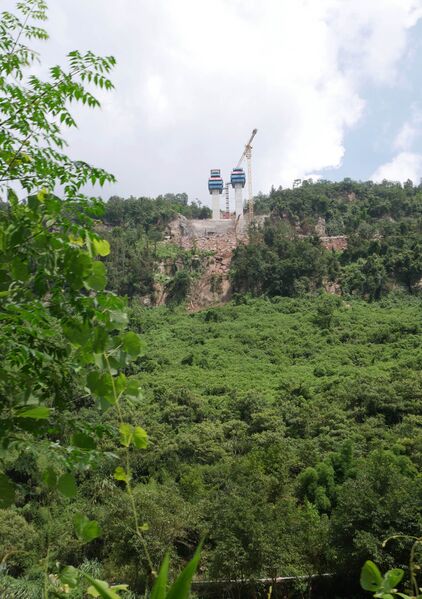 File:FenglaiGreenTreetops.JPG