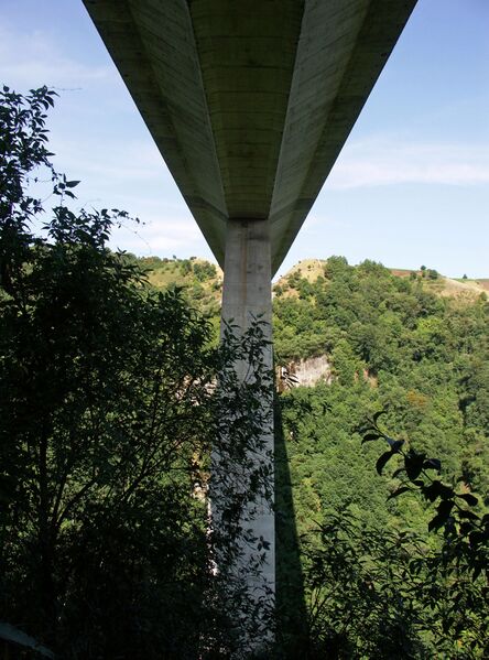 File:TexcapaUnderside3.jpg