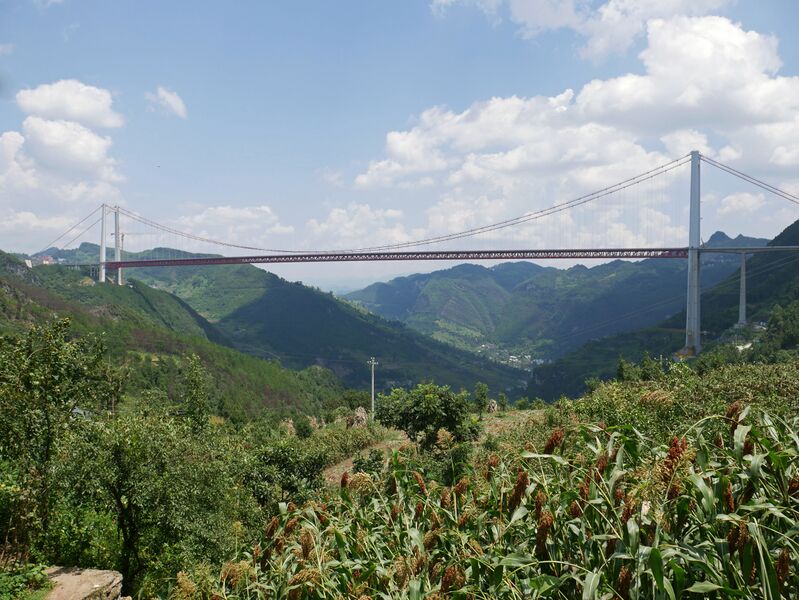 File:TongziheJinrentongCorn.JPG