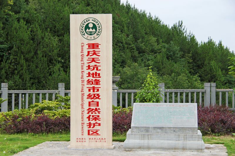 File:656Tiankeng75 copy.JPG