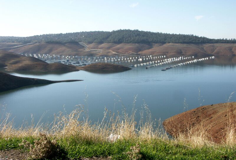 File:12LakeOrovilleMarina.jpg