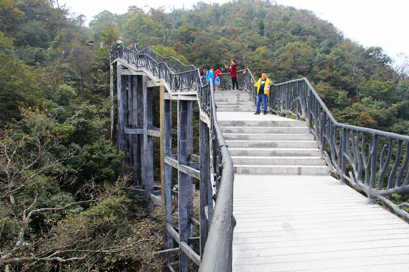 File:44TianmenshanPlatformTreesByEric.jpg