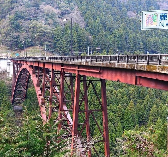 File:FujiwaraProb130mtrSpan.jpg