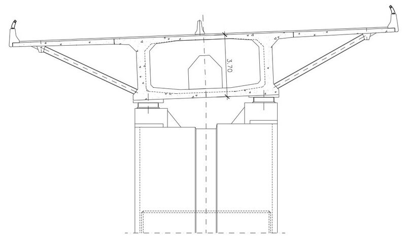 File:ConchaArtedoTransverse.jpg