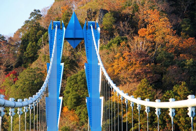 File:RyujinCablesLonglens.jpg