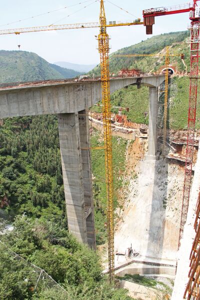 File:XiyoudongCranes.jpg
