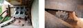 Thumbnail for version as of 09:31, 29 August 2020