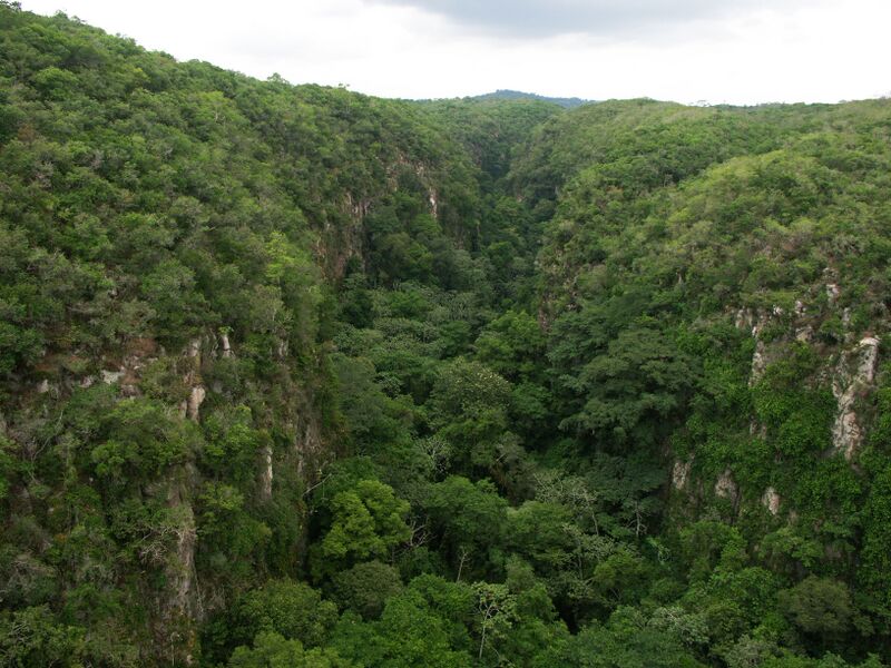 File:ElCimarronCanyon.jpg