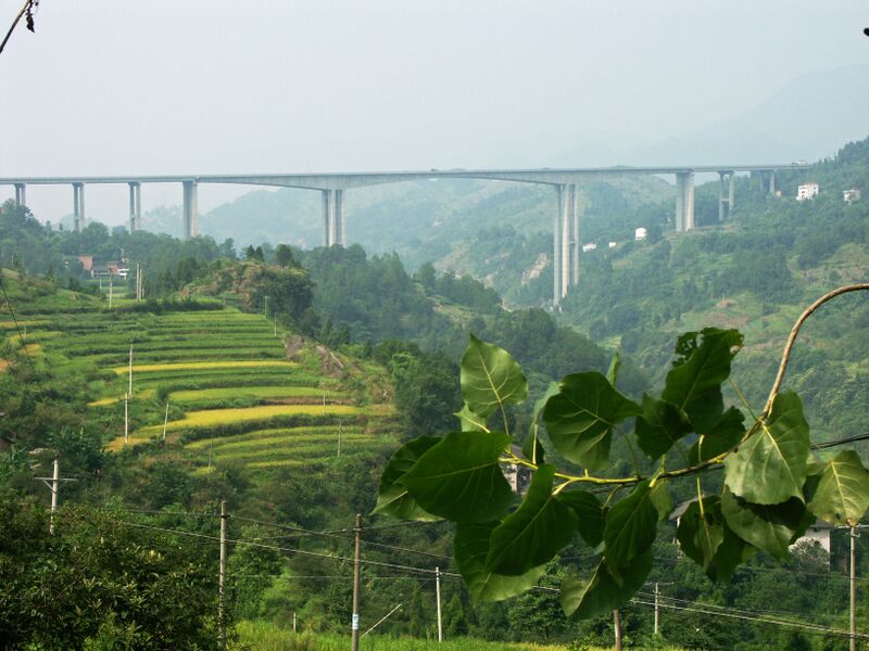 File:YangjialingSideView.jpg
