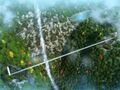 Thumbnail for version as of 07:45, 5 October 2019