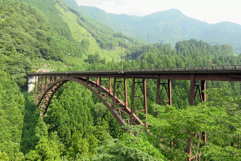 File:FujiwaraTrees.jpg
