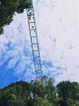 Thumbnail for version as of 01:51, 30 January 2021