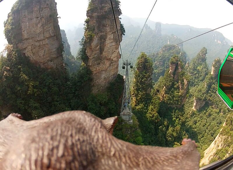 File:183ZhangjiajieSquirrelByDoug.jpg