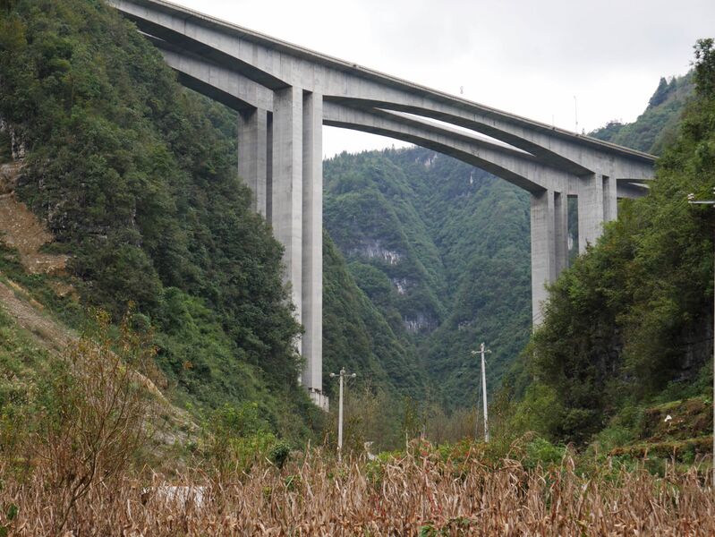 File:WangjiazhaiTrees.JPG
