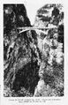 Thumbnail for version as of 05:16, 1 May 2015