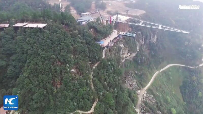 File:Chongqing Wansheng Trees.jpg