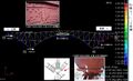 Thumbnail for version as of 02:23, 11 July 2020