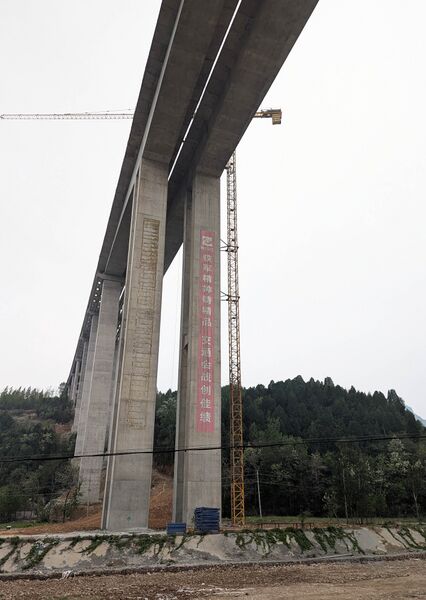 File:ShijingCraneYellow.jpg