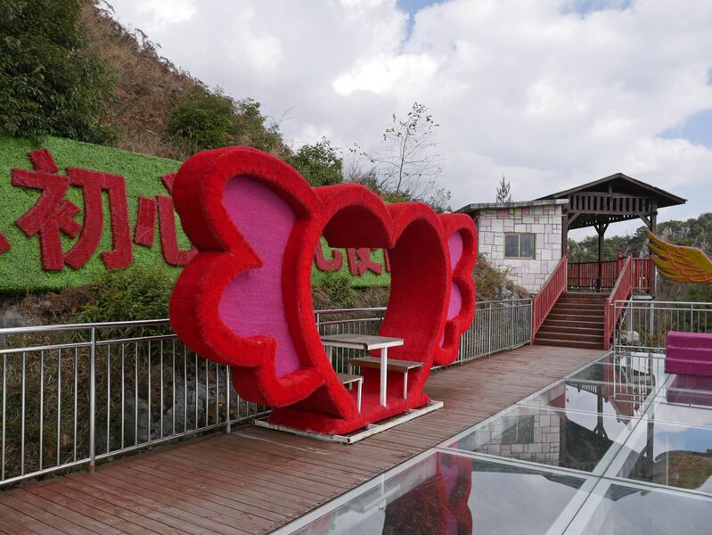 File:Liupanshui MeihuashanHeartFlowers.JPG