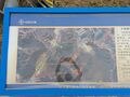 Thumbnail for version as of 04:12, 4 June 2026