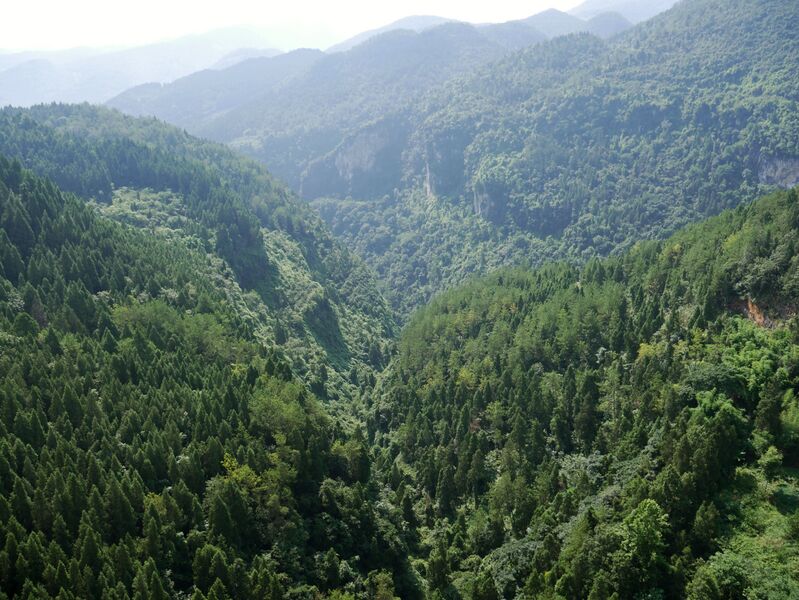 File:Shoupayan26.JPG