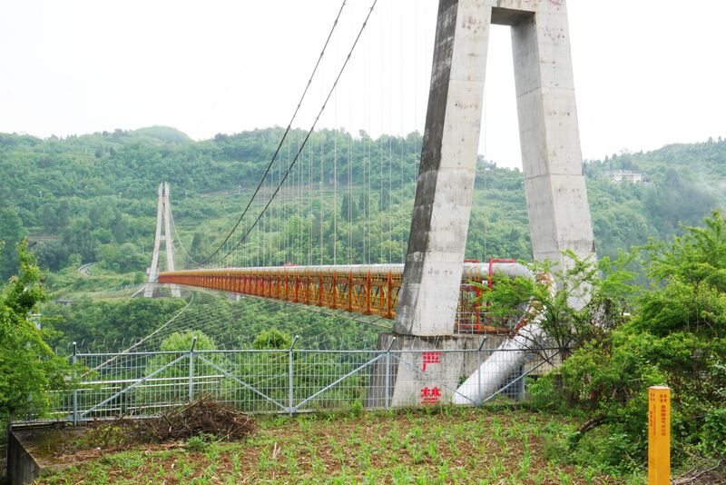 File:Wujiang ZhongGui Pipeline Trees.JPG