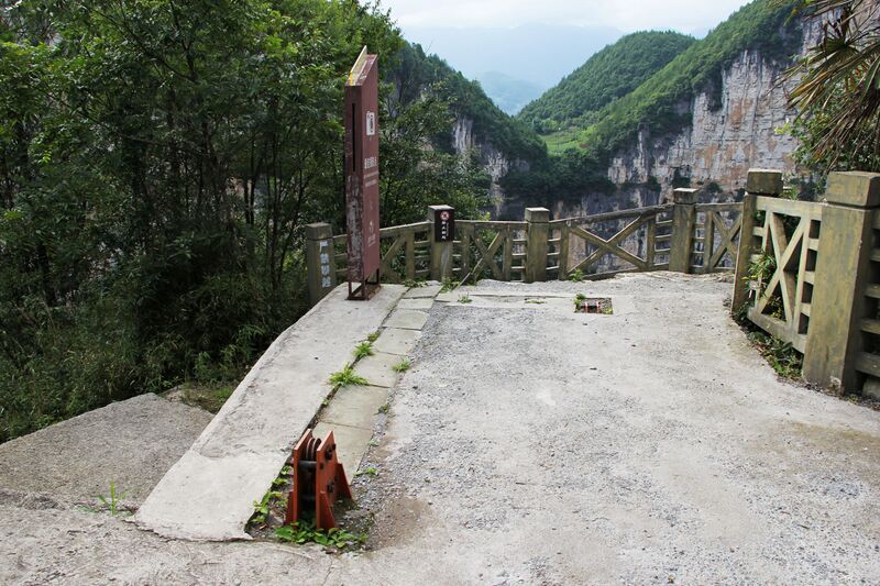 File:650Tiankeng65 copy.JPG
