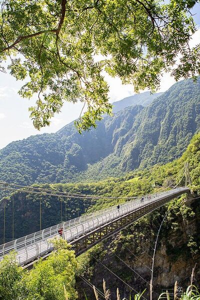 File:Shanyue FootbridgeTrees.jpg