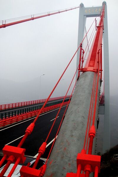 File:2155535371651504727.jpg