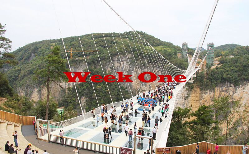 File:1WeekOne2016.jpg