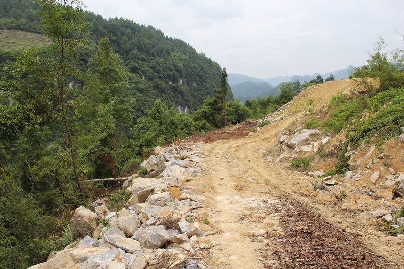 File:Unknown150mtrHFengleRoad.JPG