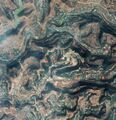 Thumbnail for version as of 08:27, 17 February 2021