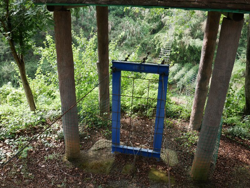 File:WulongGorgeFootbridgeTreesPlanks.JPG