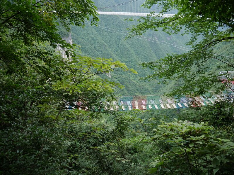 File:Yundingfeidu Planks.JPG