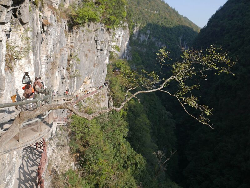 File:YunzhiduanCliffwalk8.JPG