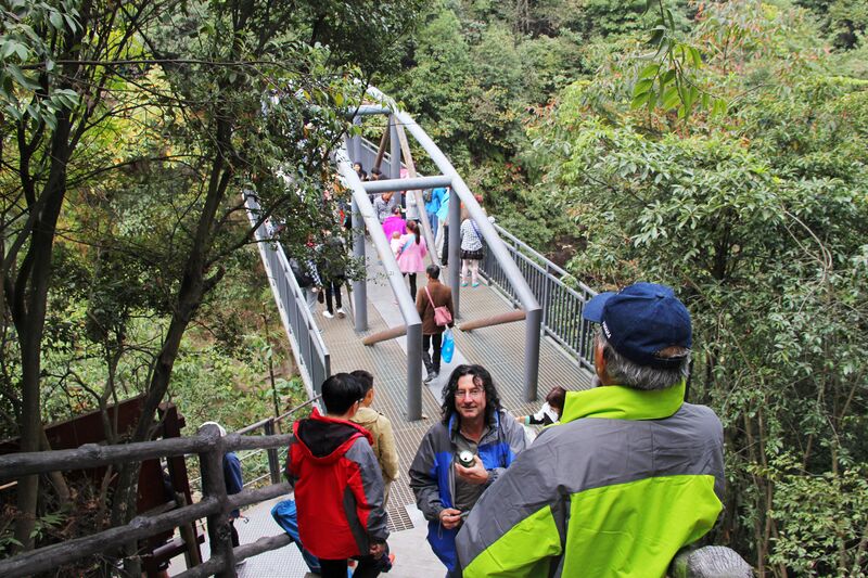 File:59ZhangjiajieParkSmallBridge.jpg