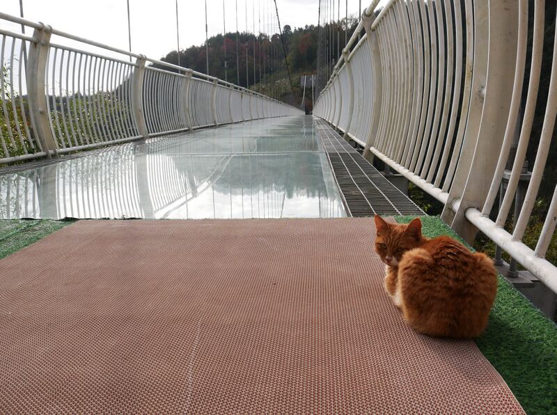 File:YangshanheCatDeck.JPG
