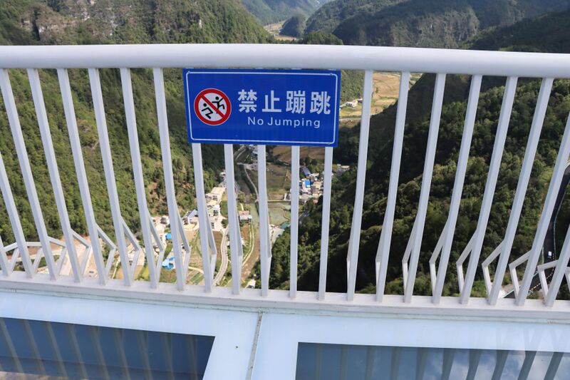 File:LongliJumpingSingRailingByGaryC.JPG