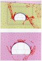 Thumbnail for version as of 00:56, 14 February 2013