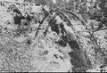 Thumbnail for version as of 08:36, 6 May 2020