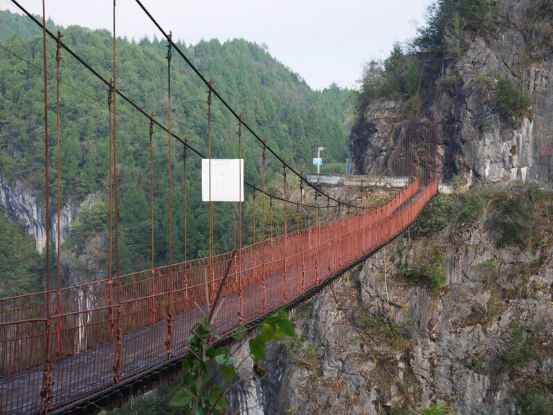 File:Wuchuan Nanmu FootbridgeTrees.JPG