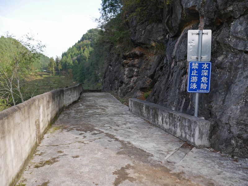 File:Wuchuan Nanmu FootbridgeWalkway.JPG
