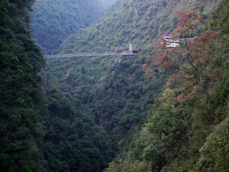 File:MotanyunFootbridgeForestValley.JPG