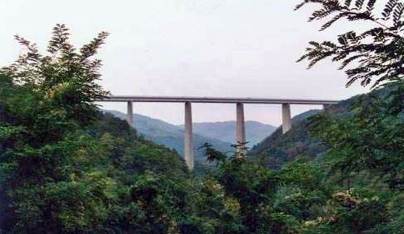 File:RioVerdeTrees.jpg