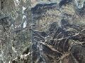 Thumbnail for version as of 04:22, 28 May 2014