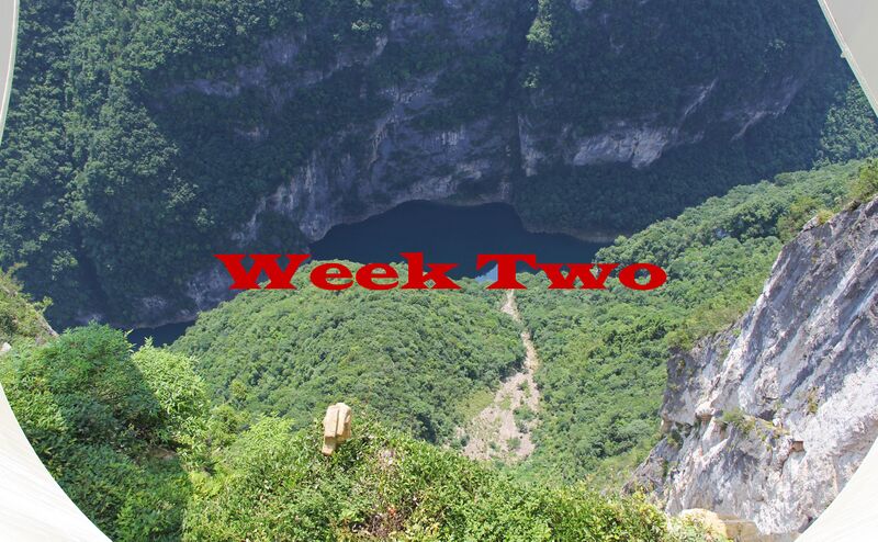 File:336WeekTwo2018.jpg