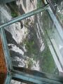Thumbnail for version as of 04:38, 23 January 2025