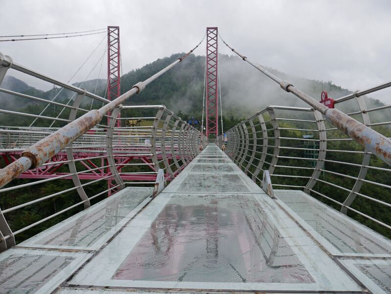 File:LingjiangyuanGlassPlatformTrussCables.JPG