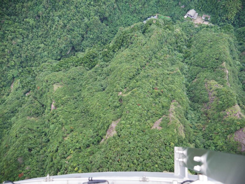 File:NantianGlassPlatformTipDrop.JPG